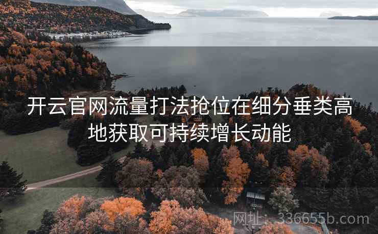 开云官网流量打法抢位在细分垂类高地获取可持续增长动能 开云官网流量打法抢位在细分垂类高地获取可持续增长动能
