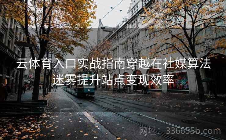 云体育入口实战指南穿越在社媒算法迷雾提升站点变现效率 云体育入口实战指南穿越在社媒算法迷雾提升站点变现效率
